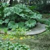 20140828_0323
