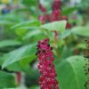 20140828_0324