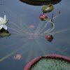 20140828_0335