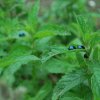20140828_0336