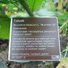 20140828_0339