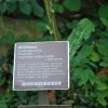 20140828_0344