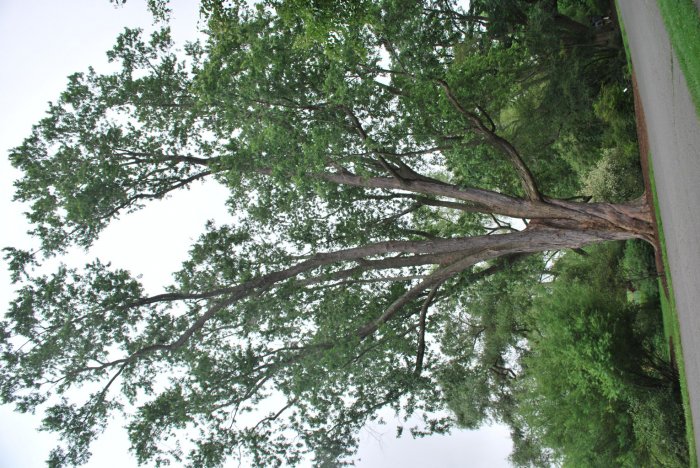 20130627_0171