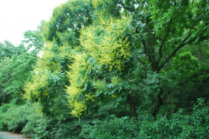 20130627_0179