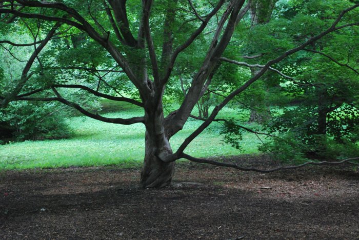 20130627_0180