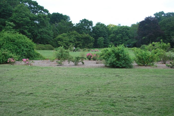 20130627_0185