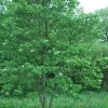 20130627_0168