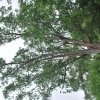 20130627_0171