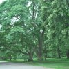 20130627_0175