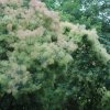 20130627_0176