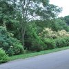 20130627_0177