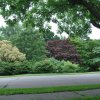 20130627_0178