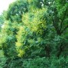 20130627_0179