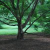 20130627_0180