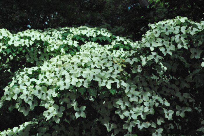 20130701_0450