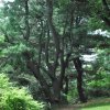 20130701_0448