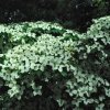 20130701_0450