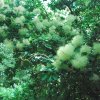 20130701_0452
