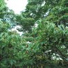 20130701_0456