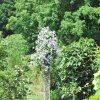20130701_0463