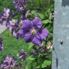 20130701_0465