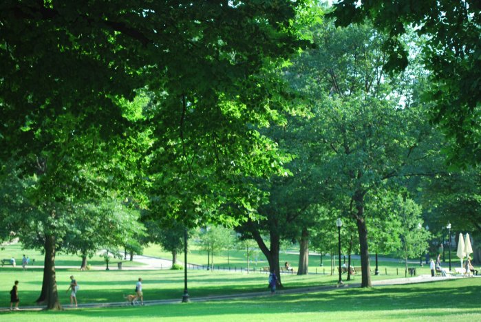 20130625_0039