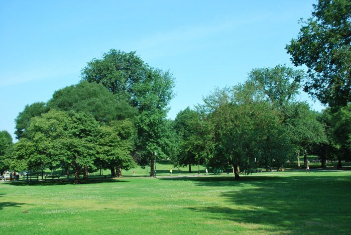 20130625_0041