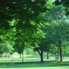 20130625_0039