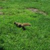 20130625_0053