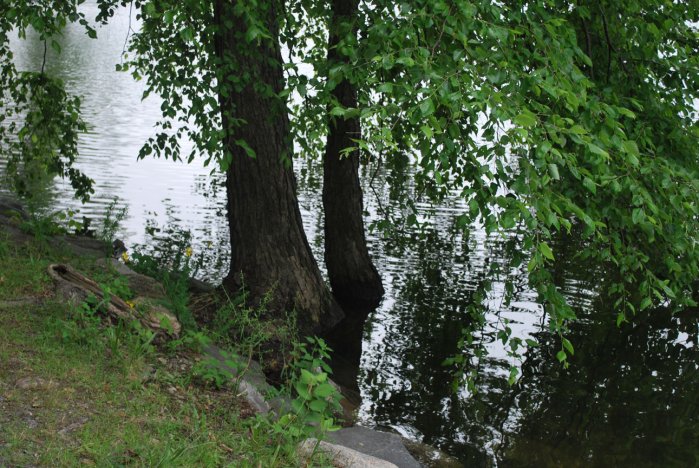 20130627_0146