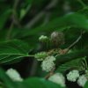 20130627_0139