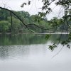 20130627_0141