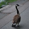 20130627_0144