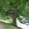 20130627_0151
