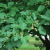 20130627_0152