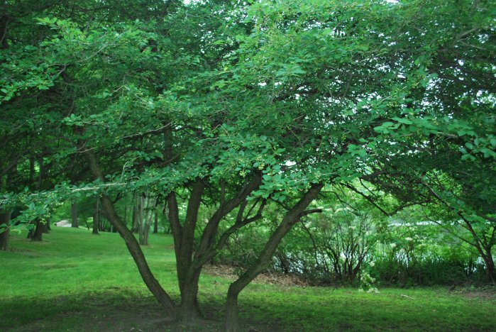 20130627_0118