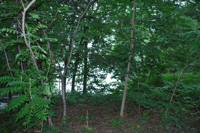 20130627_0121