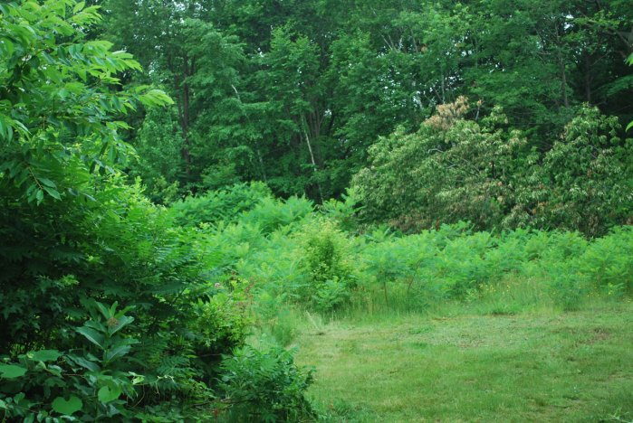 20130627_0126