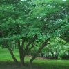 20130627_0118