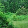 20130627_0126