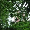 20130627_0130