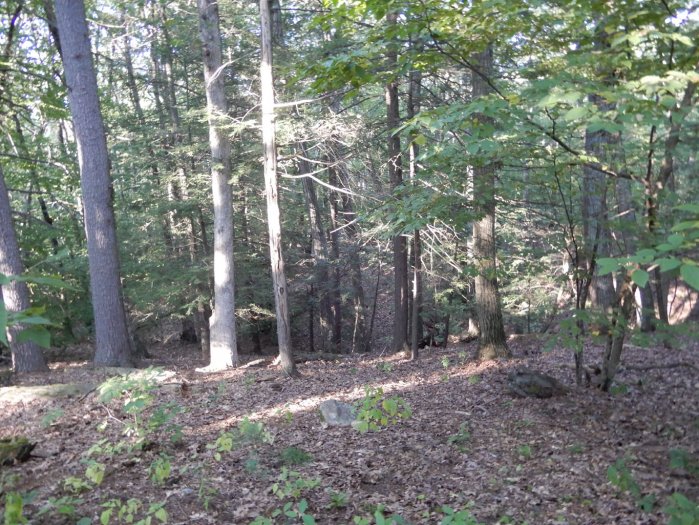 20190920_1531