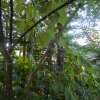 20190920_1469