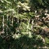 20190920_1518