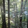 20190920_1538