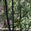 20190920_1539