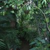20160519_1421