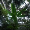 20160519_1425