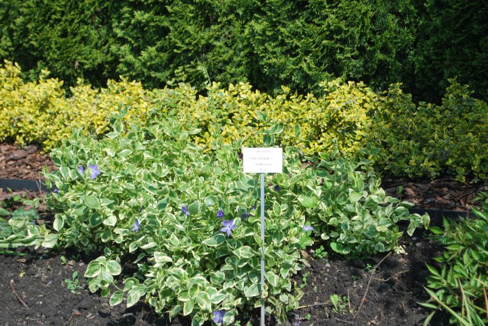 DSC_1329