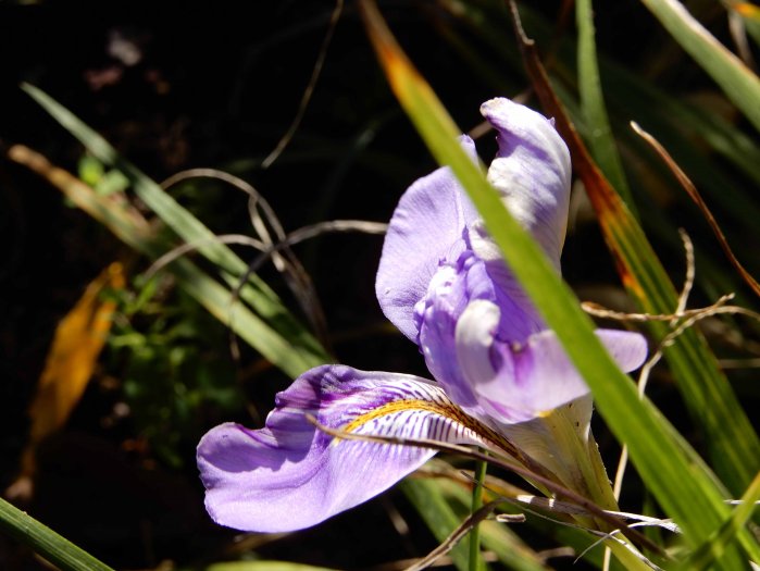 20171217_0434